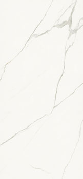 AE EXT6 260 LPM.jpg